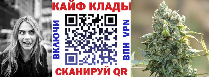 Купить закладку Cocaine  Меф мяу мяу  А ПВП  Псилоцибиновые грибы  Канабис  Кировск