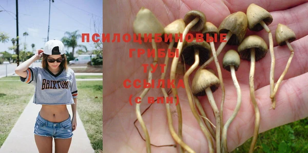 гашиш Осинники